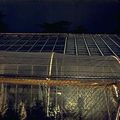 [plastic house]
